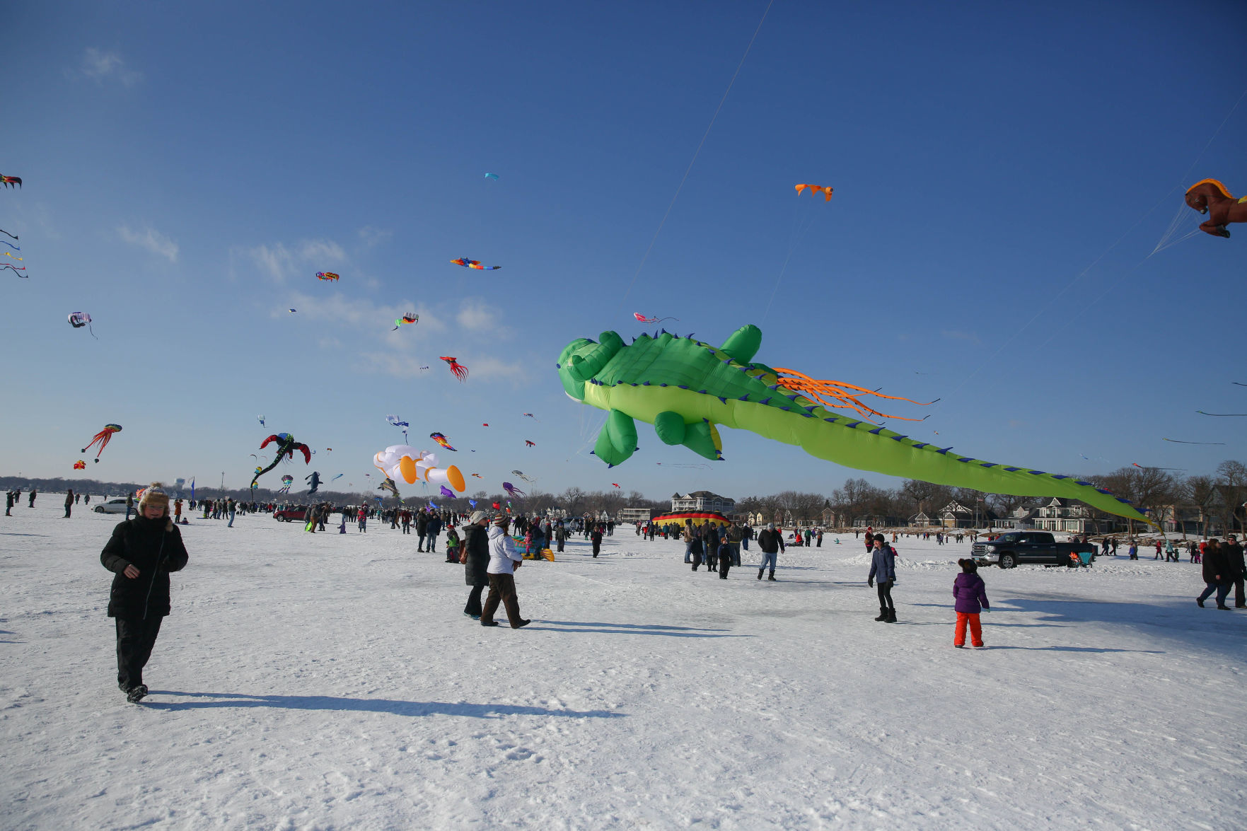 Color the Wind kite festival 02-15-2020 (1).jpg